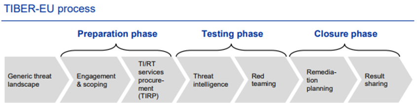 Representation of the TIBER-EU process