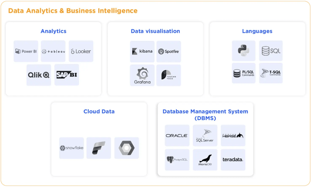 Data Analytics & Business Intelligence technical expertise